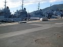 Zingali33