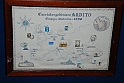Regonesi88