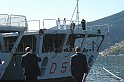 Patella36