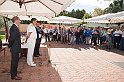 _IAN7331