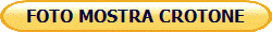 FOTO MOSTRA CROTONE